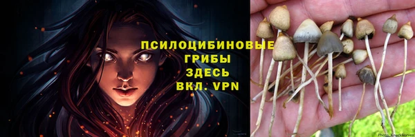 индика Каменка
