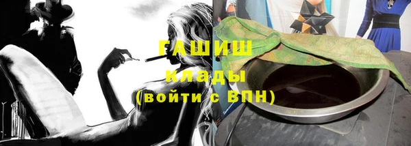 индика Каменка