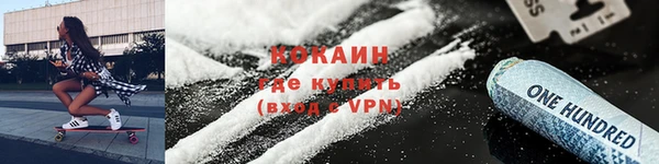 индика Каменка