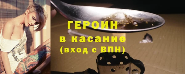 индика Каменка