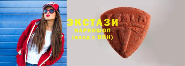 индика Каменка
