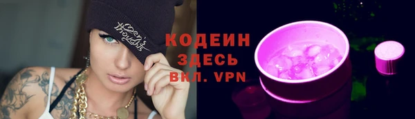 индика Каменка