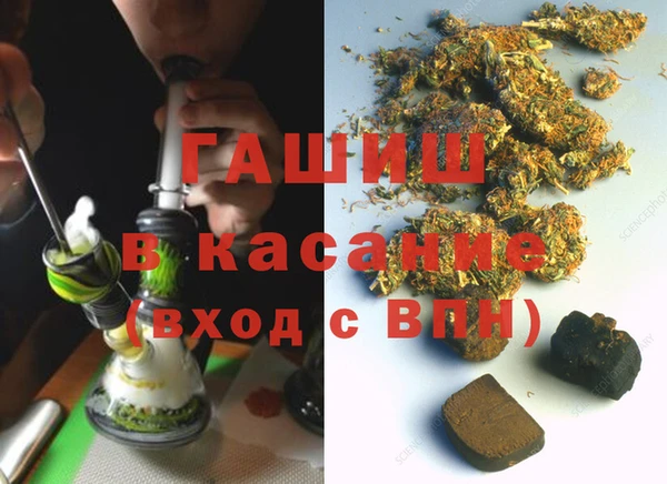 индика Каменка