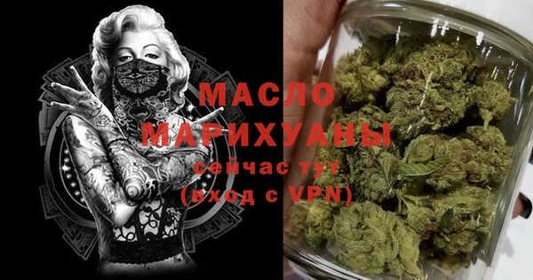 индика Каменка