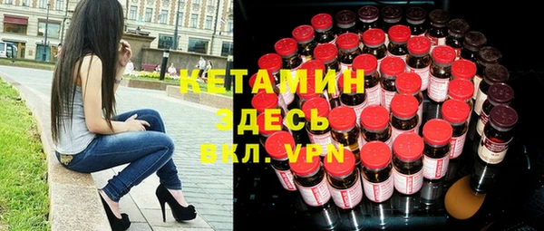 индика Каменка