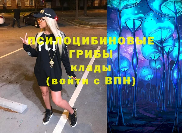 индика Каменка