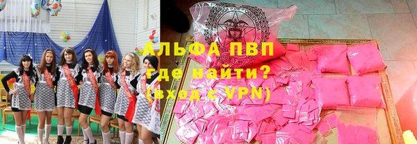 индика Каменка