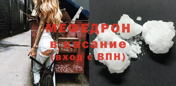 индика Каменка