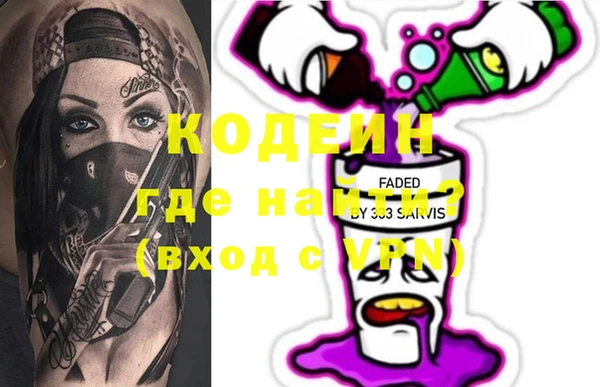 индика Каменка