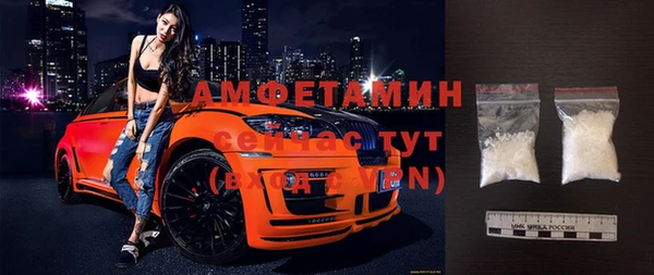 индика Каменка