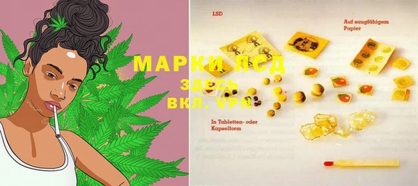 индика Каменка