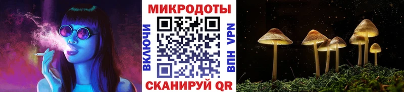 Купить  Морозовск  Псилоцибиновые грибы мицелий 